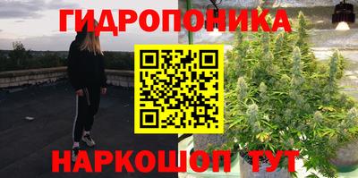 сатива Усть-Илимск