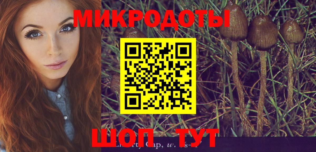 Набережные Челны  Галлюциногенные грибы мицелий  Вход с VPN 
